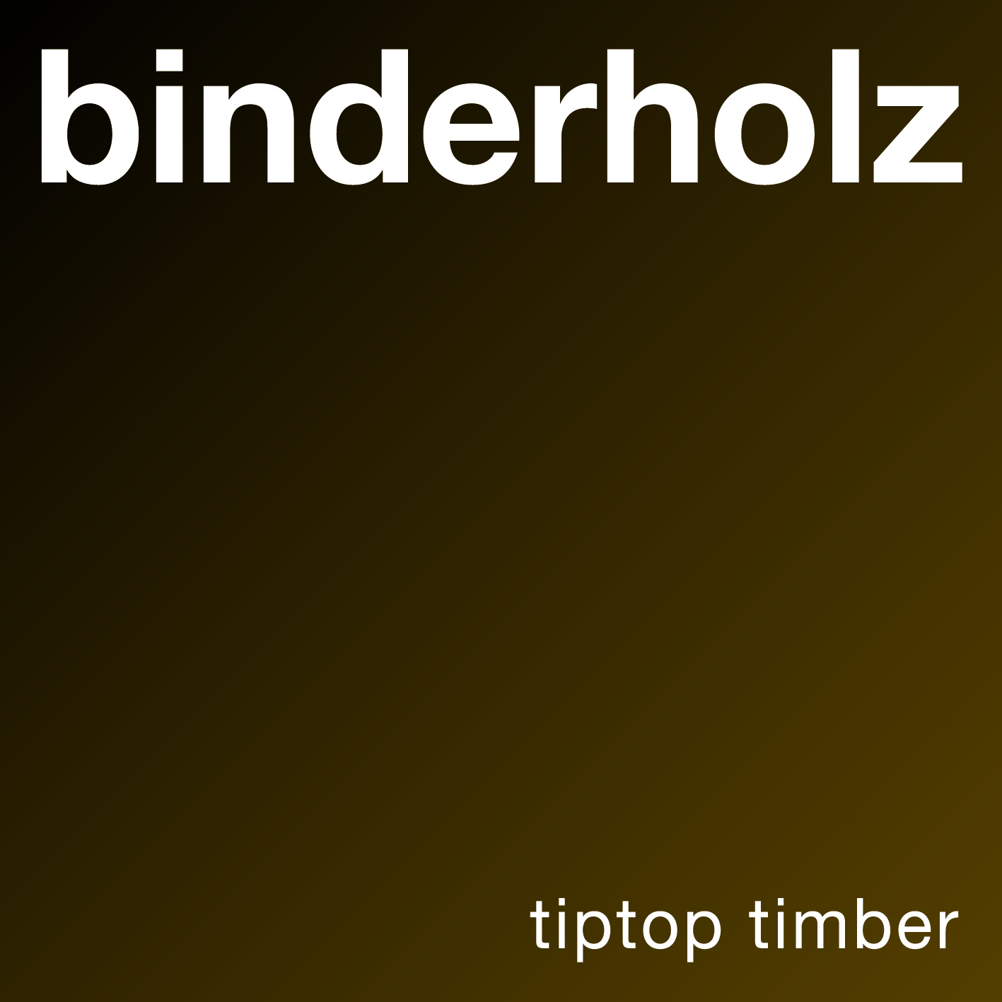 Logo_binderholz_4c